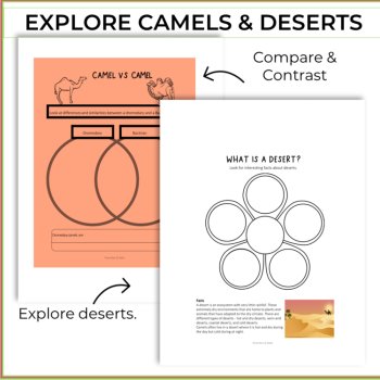 Inspiring STEAM Camel Activities | Life Cycle | Unique Biomimicry Adventures, image 3