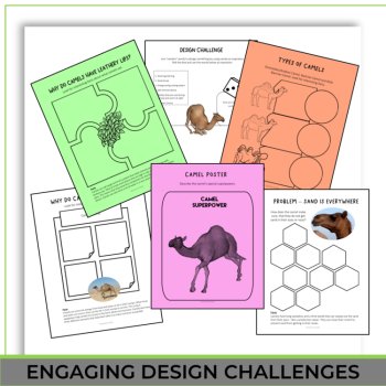 Inspiring STEAM Camel Activities | Life Cycle | Unique Biomimicry Adventures, image 4