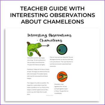 Inspiring Biomimicry Card Activities Bundle | Explore Biological Strategies, image 2