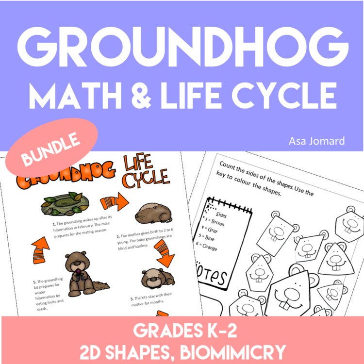 Inspiring Groundhog  Activities Bundle  | Life Cycle & Geometry