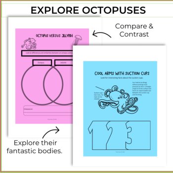 Engaging STEM Octopus Activities | Life Cycle | Unique Biomimicry Adventures, image 3