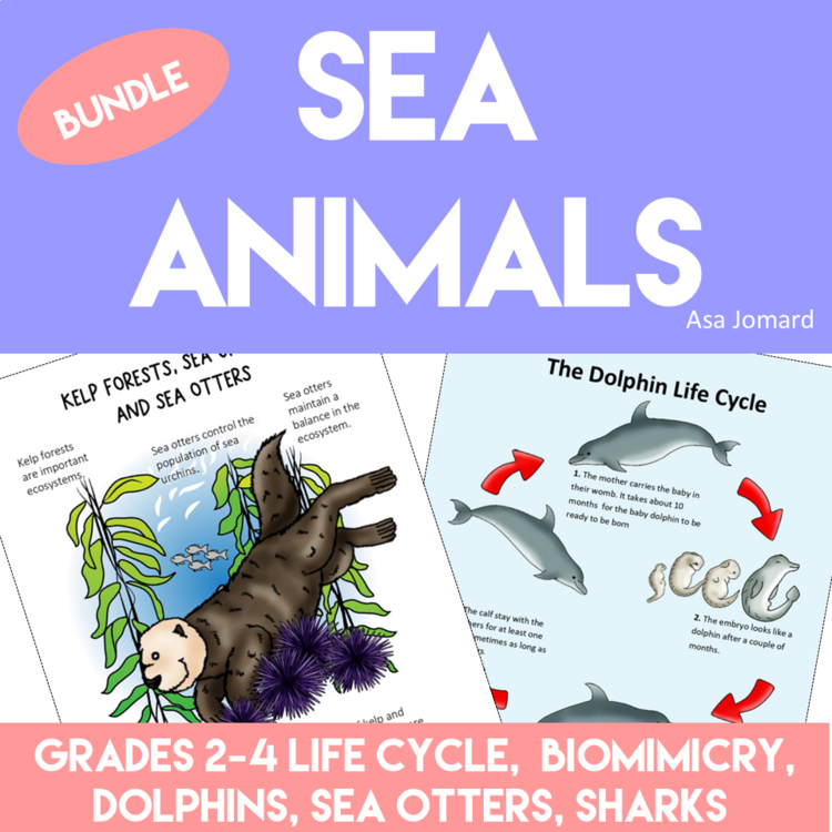 Engaging Sea Animal Activities Bundle | Unique Biomimicry Adventures
