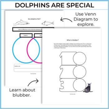 Engaging Sea Animal Activities Bundle | Unique Biomimicry Adventures, image 3