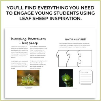 Unique Energy Project Bundle | Creative Biomimicry Design Thinking Activities, image 2