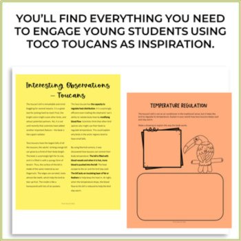 Unique Energy Cooling Buildings Project Inspired by Toco Toucan, image 2