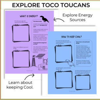 Unique Energy Cooling Buildings Project Inspired by Toco Toucan, image 3