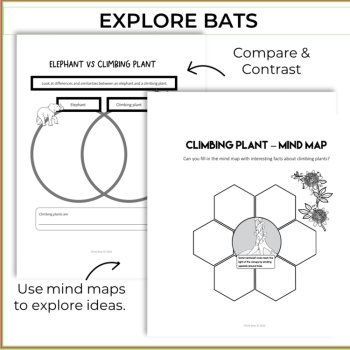 Engaging Robot Activities Bundle | Inspiring Biomimicry Challenges, image 4