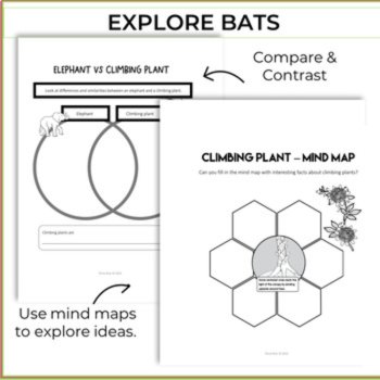 Innovative Growing Robots Project | Unique Biomimicry Design Activities, image 3
