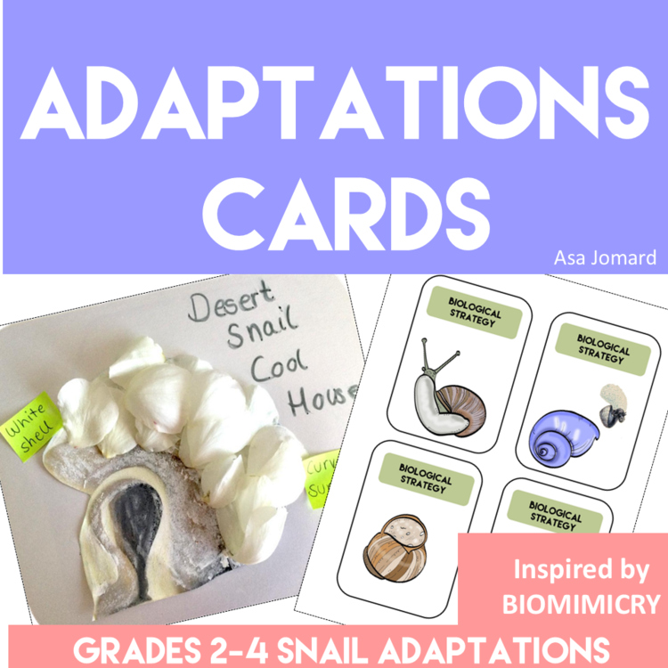 Explore Snail Adaptations | Inspiring Biomimicry Design Challenges