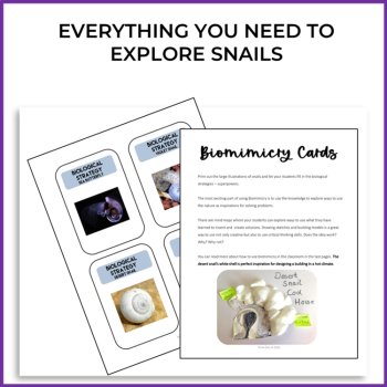Explore Snail Adaptations | Inspiring Biomimicry Design Challenges, image 2