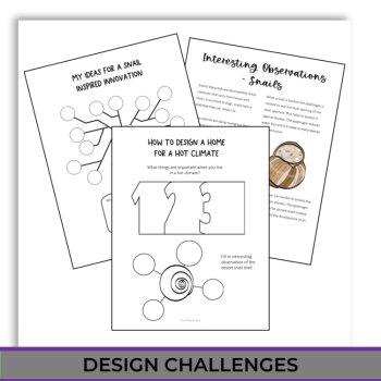 Explore Snail Adaptations | Inspiring Biomimicry Design Challenges, image 4