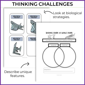Engaging Animal Superpower Report Bundle | Fun Biomimicry Design Challenges, image 3