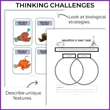 Engaging Anglerfish Activities |  Write an Animal Superpower Report, image 3