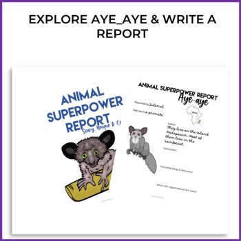 Engaging Aye-Aye Activities | Write an Animal Superpower Report, image 2