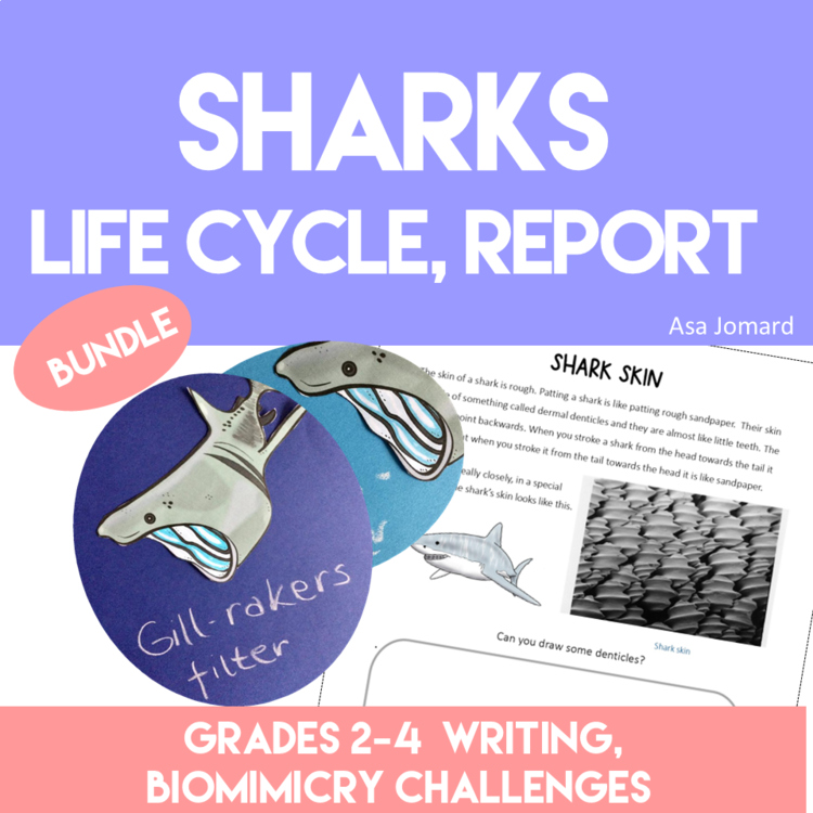 Inspiring Shark Activities Bundle | Life Cycle | Fun Biomimicry Adventures