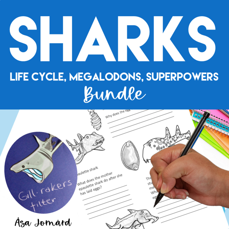 Engaging Shark Life Cycle Bundle  | Oviparious | Megalodon | Biomimicy Design
