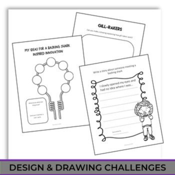 Engaging Shark Life Cycle Bundle  | Oviparious | Megalodon | Biomimicy Design, image 4