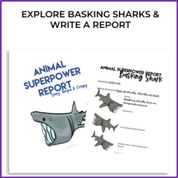 Inspiring Basking Shark Activities | Write an Animal Superpower Report, image 2