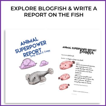 Engaging Blobfish Activities | Write an Animal Superpower Report, image 2