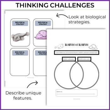 Engaging Blobfish Activities | Write an Animal Superpower Report, image 3