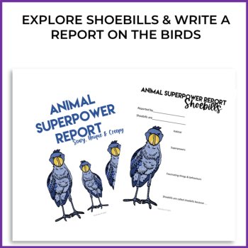 Inspiring Shoebills Activities | Write a Superpower Report, image 2