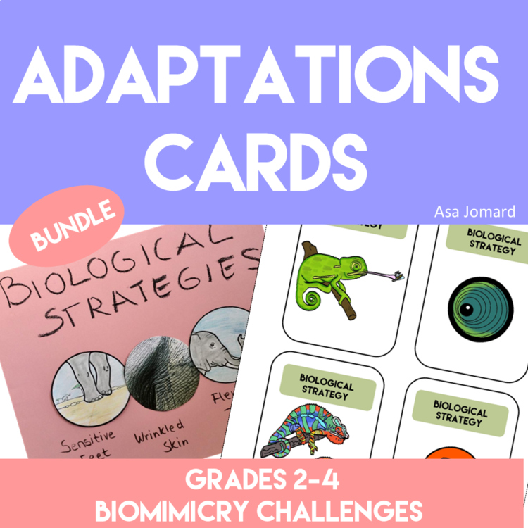 Unique Biomimicry Card Adaptations Bundle | Inspiring Biomimicry Adventures