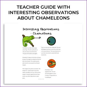 Unique Biomimicry Card Adaptations Bundle | Inspiring Biomimicry Adventures, image 2
