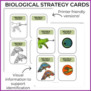 Unique Biomimicry Card Adaptations Bundle | Inspiring Biomimicry Adventures, image 3