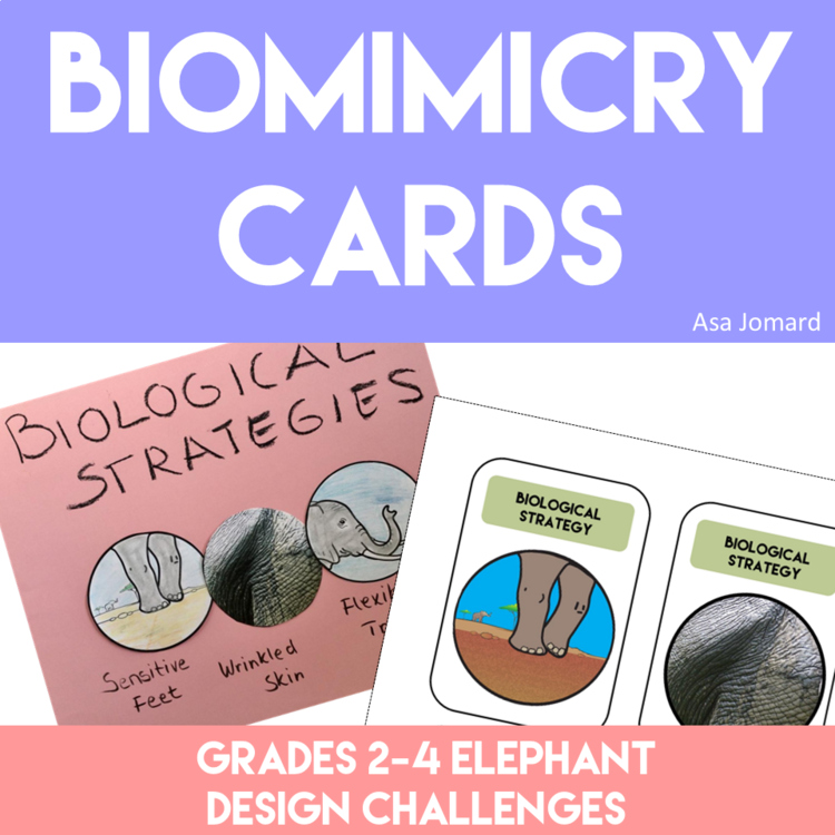 Inspiring Biomimicry Cards Elephant | Explore Biological Strategies & Design