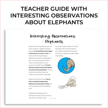 Inspiring Biomimicry Cards Elephant | Explore Biological Strategies & Design, image 2