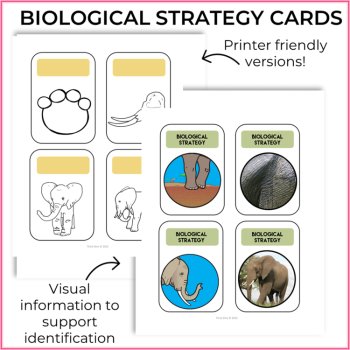 Inspiring Biomimicry Cards Elephant | Explore Biological Strategies & Design, image 3