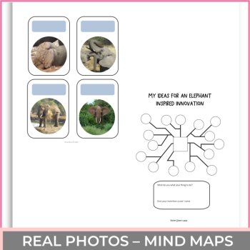 Inspiring Biomimicry Cards Elephant | Explore Biological Strategies & Design, image 4