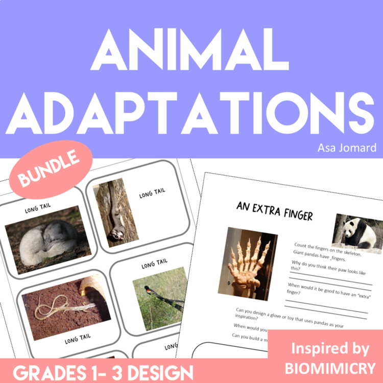 Engaging Animal Adaptation Activities  Bundle | Fun Biomimicry Challenges