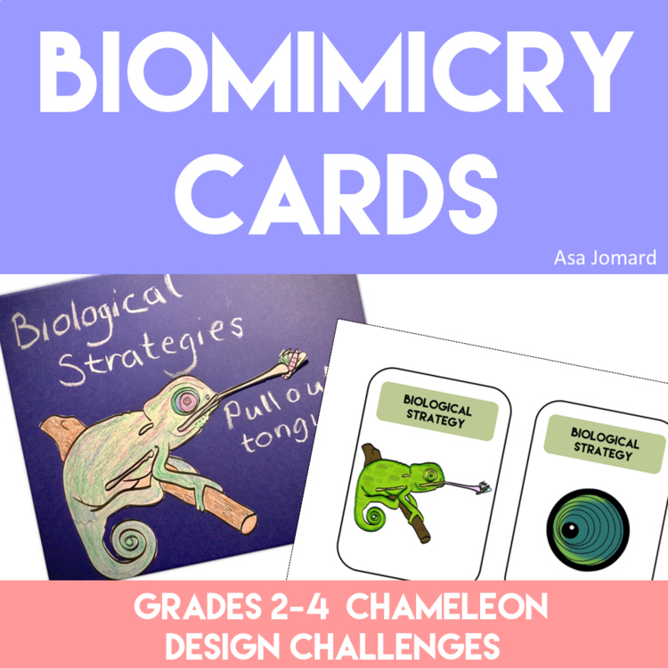 Inspiring Chameleons Biomimicry Cards | Design Challenges