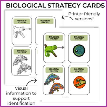 Inspiring Chameleons Biomimicry Cards | Design Challenges, image 3