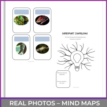 Inspiring Chameleons Biomimicry Cards | Design Challenges, image 4