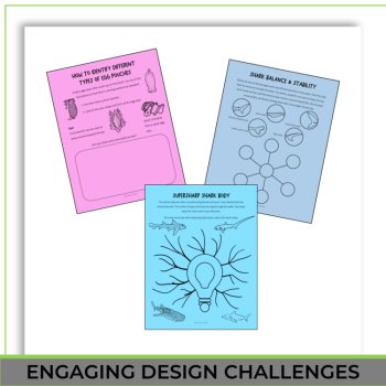 Unique Shark Oviparous Activities | Life Cycle | Engaging Biomimicry Projects, image 4