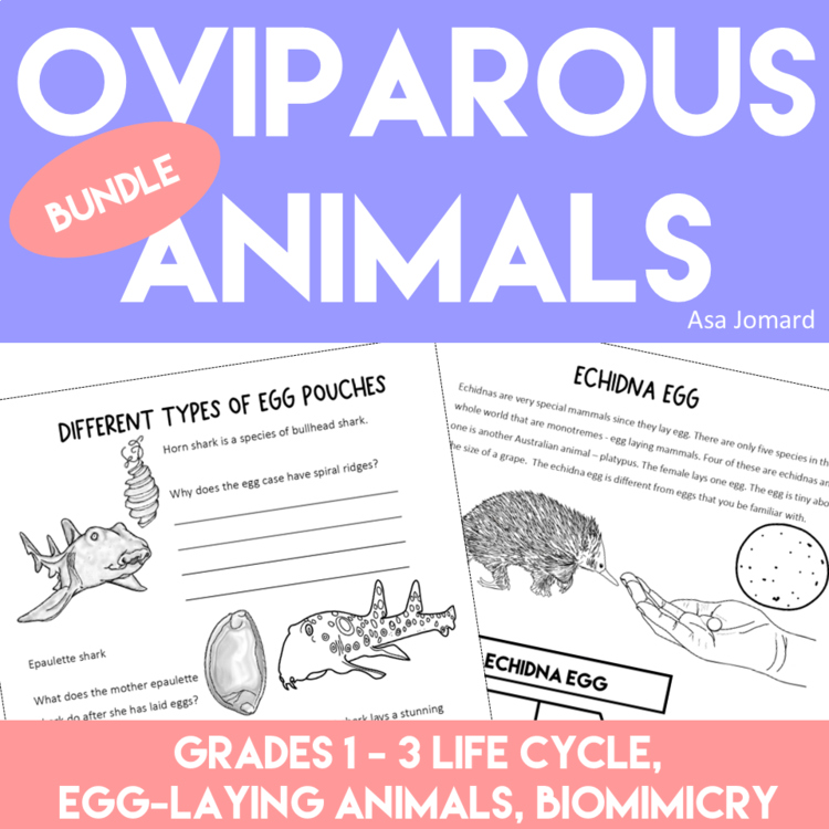 Unique Oviparous Animals Activities Bundle | Inspiring Biomimicry Challenges