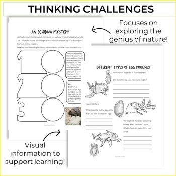 Unique Oviparous Animals Activities Bundle | Inspiring Biomimicry Challenges, image 3