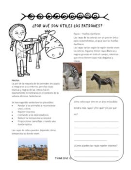 The Bilingual Bundle English & Spanish | Patterns in Nature Biomimicry, image 2