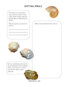 The Bilingual Bundle English & Spanish | Patterns in Nature Biomimicry, image 3