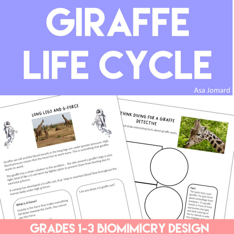 Engaging STEAM Giraffes Activities | Life Cycle | Unique Biomimicry Adventures