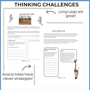 Engaging STEAM Giraffes Activities | Life Cycle | Unique Biomimicry Adventures, image 3
