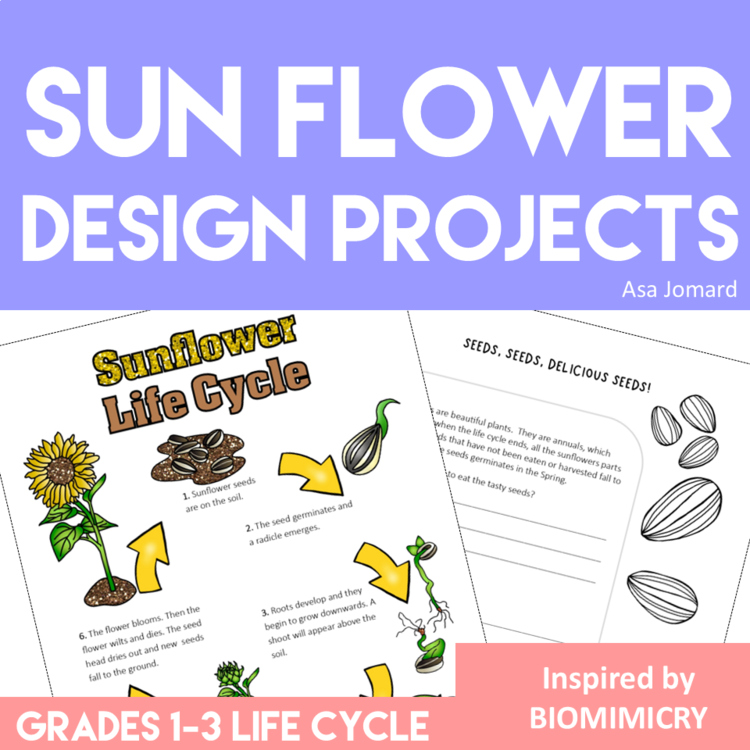 Engaging STEAM Sunflower Activities | Life Cycle | Unique Biomimicry Adventures