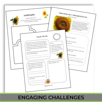 Engaging STEAM Sunflower Activities | Life Cycle | Unique Biomimicry Adventures, image 4