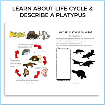 Engaging STEAM Platypus Activities | Life Cycle | Inspiring Biomimicry Adventure, image 2