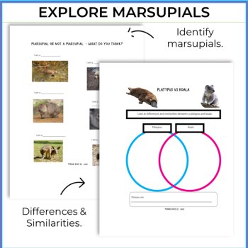 Engaging STEAM Platypus Activities | Life Cycle | Inspiring Biomimicry Adventure, image 3