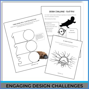 Engaging STEAM Platypus Activities | Life Cycle | Inspiring Biomimicry Adventure, image 4