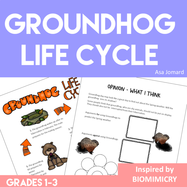 Engaging Groundhog Life Cycle Activities | Biomimicry Design Thinking Projects