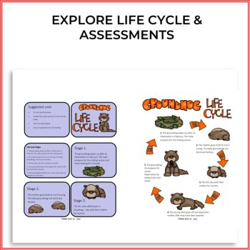 Engaging Groundhog Life Cycle Activities | Biomimicry Design Thinking Projects, image 2